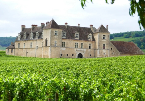 Chateau de Clos de Vougeot