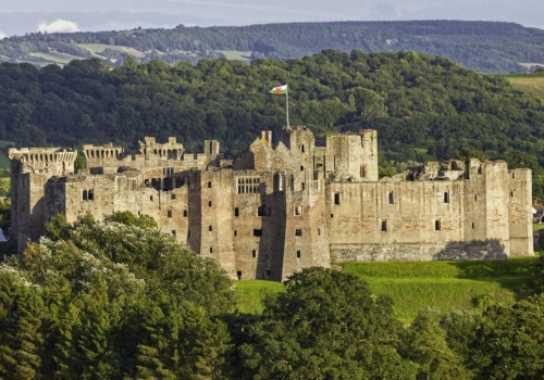 Raglan Castle
